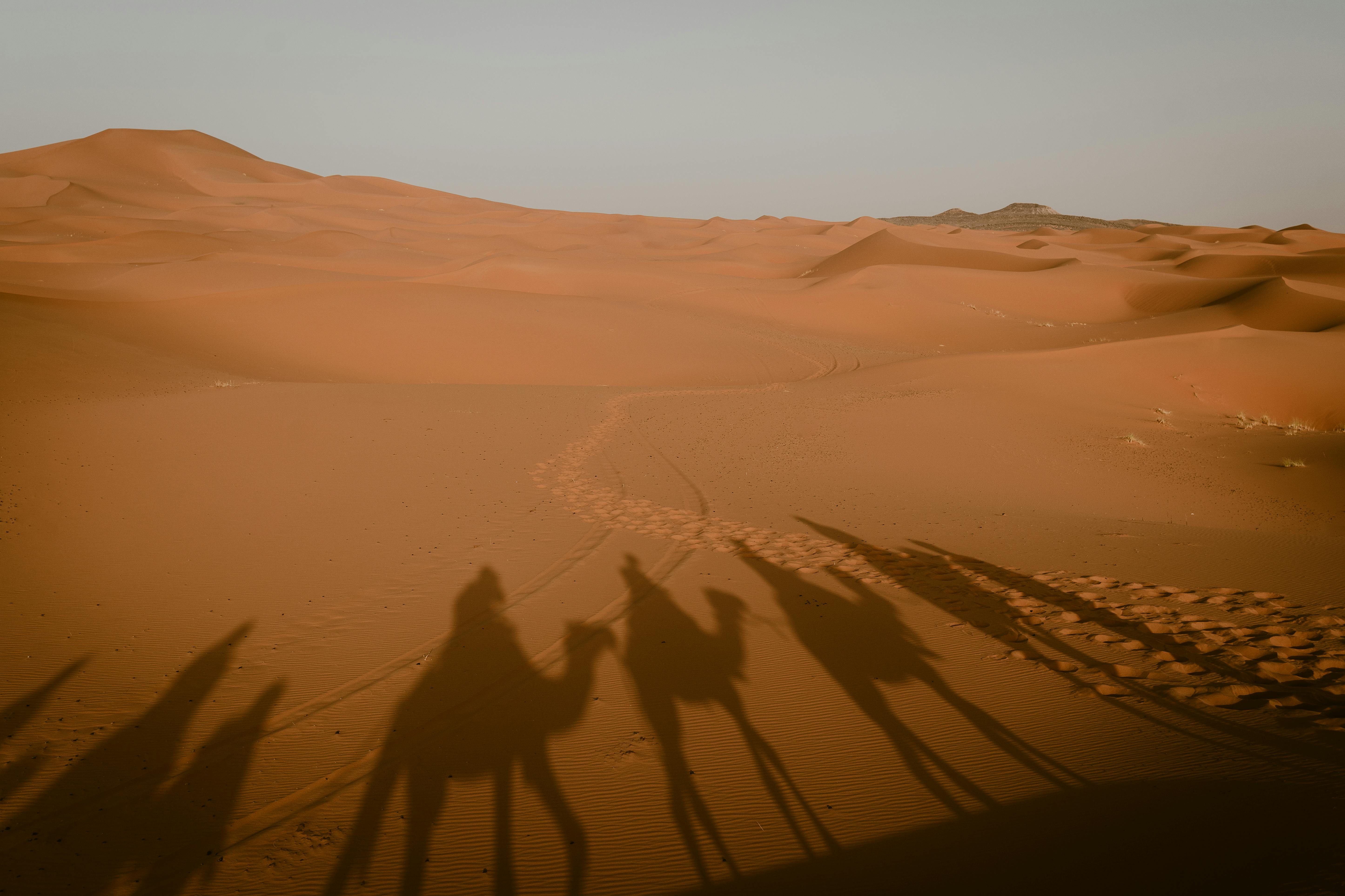 Erg Chebbi Dunes