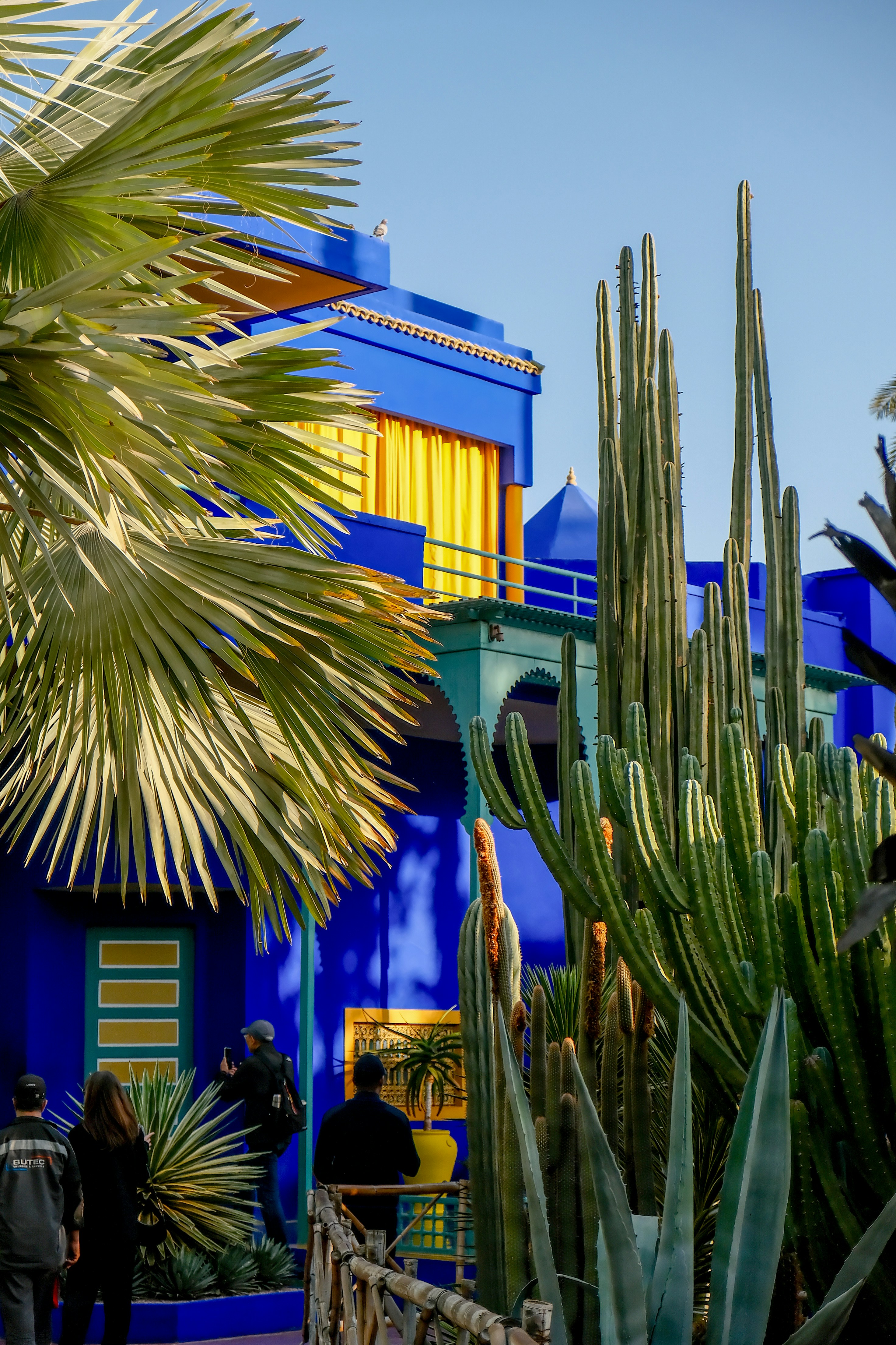 Jardin Majorelle