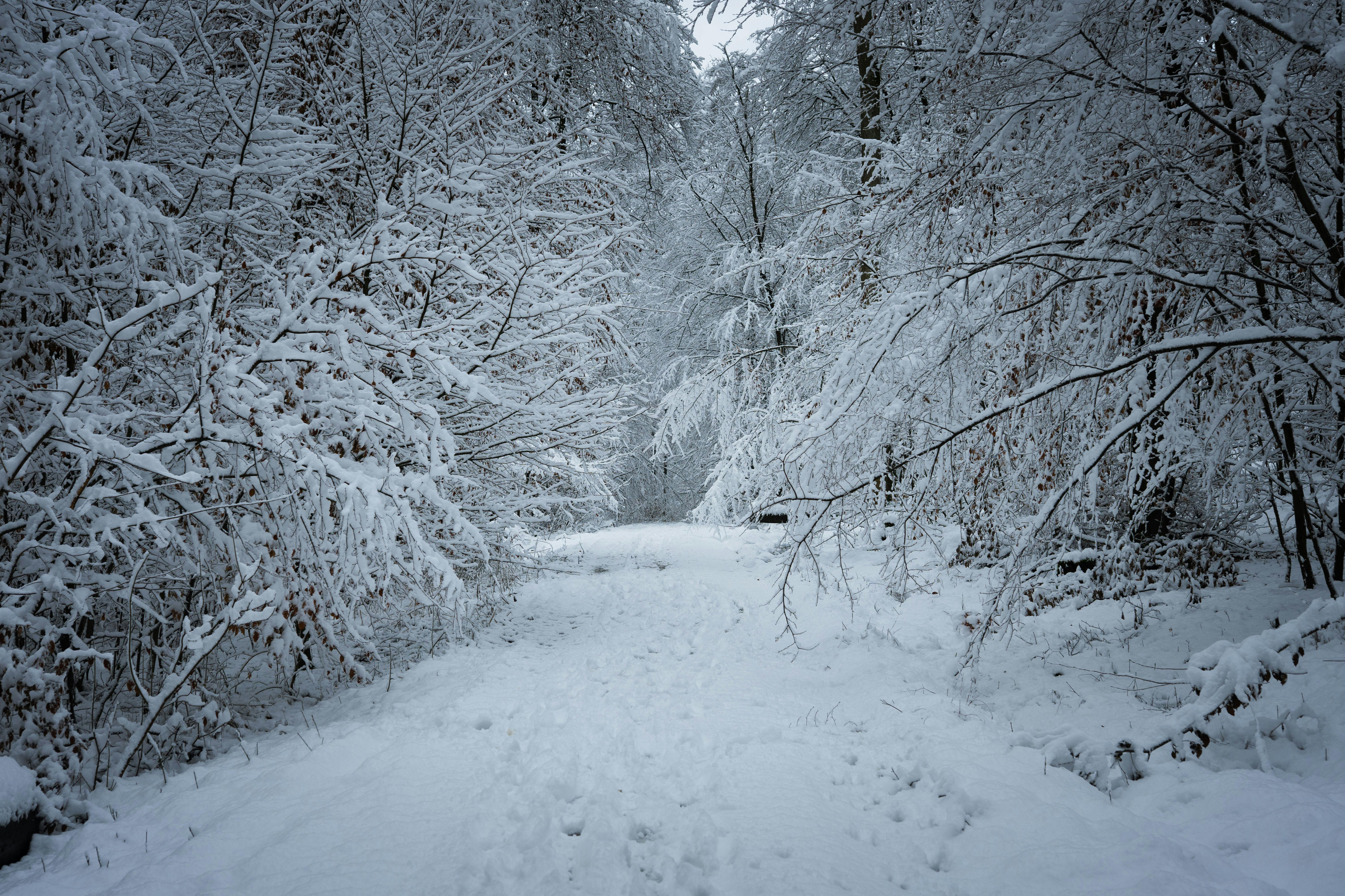 Michlifen Ski Resort